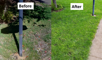 Before/After turf fertilizing